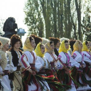 Višnjićevi dani 2013.